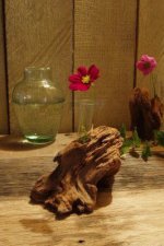 流木の一輪挿し