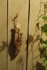 流木の一輪挿し