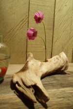 流木の一輪挿し