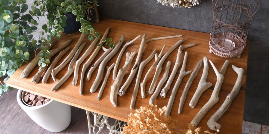 流木の小枝・細枝・棒セット