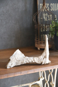 流木販売 小型サイズ