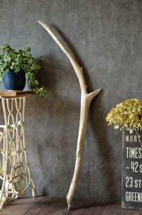 流木棒 長さ1m～1.5m