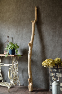 流木棒 長さ1.5m以上