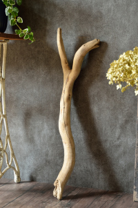 流木棒 長さ1m以内