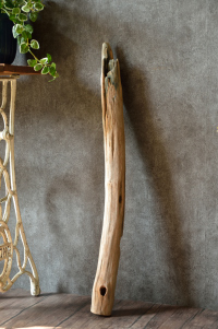 流木棒 長さ1m以内