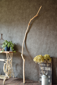 流木棒 長さ1.5m以上