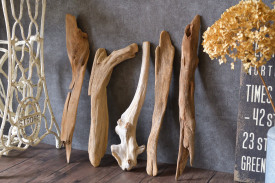 流木販売 流木セット