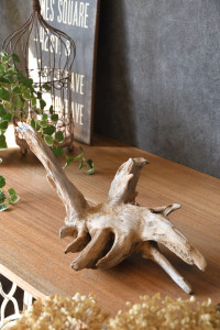 流木販売 根っこ流木