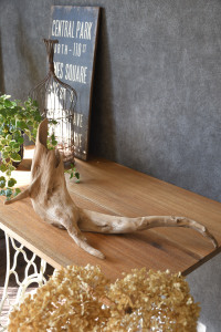 流木販売 根っこ流木