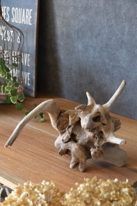 流木販売 根っこ流木