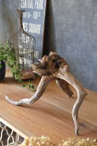 流木販売 根っこ流木