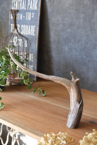 流木販売 かたまり流木