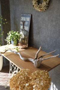 流木販売 根っこ流木