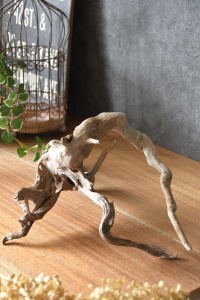 流木販売 根っこ流木