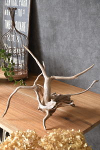 流木販売 根っこ流木