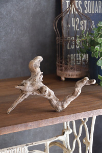 流木販売 小型サイズ