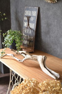 流木販売 根っこ流木