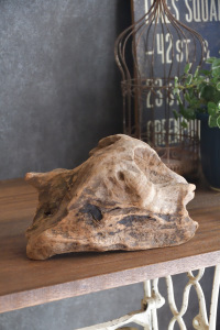 流木販売 小型サイズ