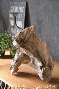 流木販売 かたまり流木