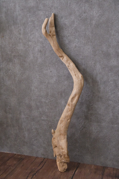 環境にやさしい流木素材 店舗ディスプレイやガーデニングデザインなど