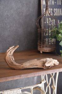 流木販売 小型サイズ