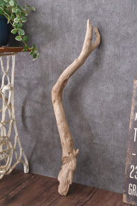 流木棒 長さ50cm～100cm