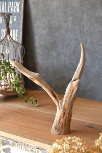 流木販売 かたまり流木