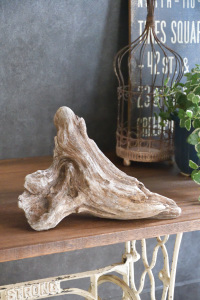 流木販売 中型サイズ