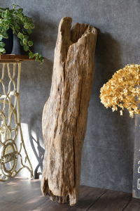 流木幹 長さ1m以内