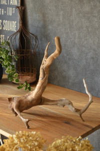 流木販売 根っこ流木