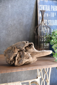 流木販売 中型サイズ