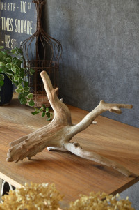 流木販売 根っこ流木