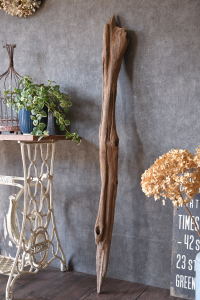 流木販売 流木棒 長さ1m～1.5m