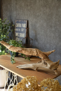 流木販売 かたまり流木