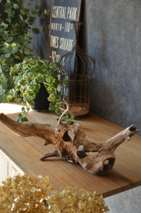 流木販売 かたまり流木