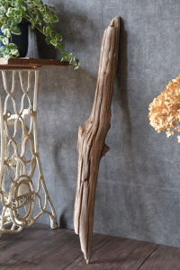 流木棒 長さ1m以内