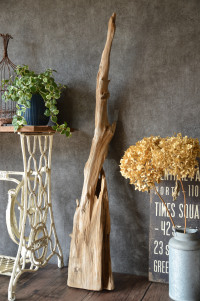 流木 長さ1m～1.5m