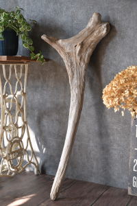 流木棒 長さ1m以内