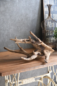 流木販売 中型サイズ