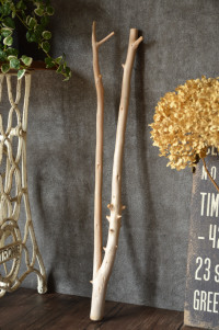 流木棒 長さ1m以内