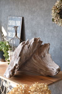 流木販売 かたまり流木