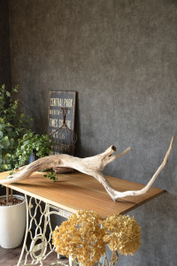 流木販売 根っこ流木