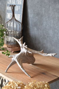 流木販売 根っこ流木