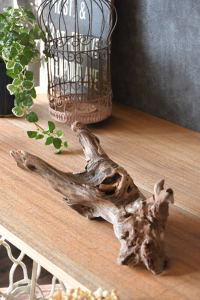 流木販売 かたまり流木