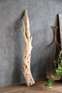 流木棒 長さ50cm～100cm