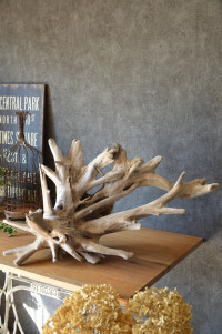 流木販売 根っこ流木