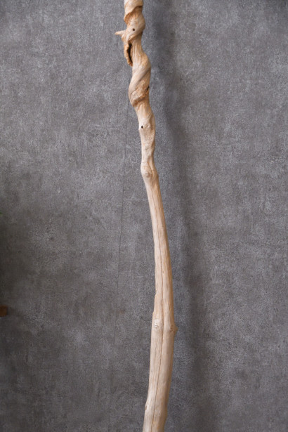 B 空洞美型 流木 枯木 古木 収集品 高さ84.5cm DSC_2032_00023.jpg