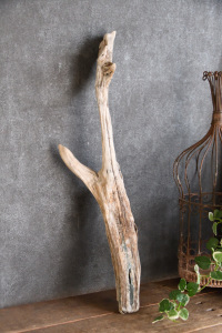 流木棒 長さ50cm～100cm