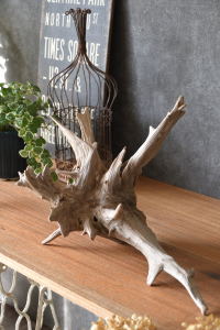 流木販売 根っこ流木