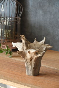 流木販売 根っこ流木